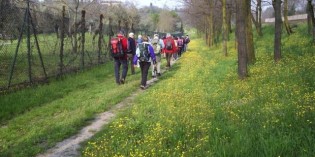 2001, Desenzano (BS): SENTIERI DELLE NOSTRE COLLINE