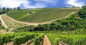 2002: SOMMELIERS BRESCIANI NELLE MARCHE 2002: SOMMELIERS BRESCIANI NELLE MARCHE