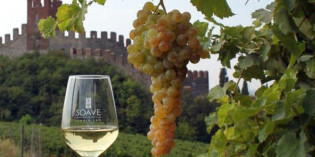 TREND POSITIVO PER IL VINO SOAVE 2005