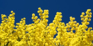 8 marzo Festa della Donna: ORIGINI E ARCHETIPI AL FEMMINILE 