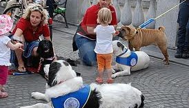 Lazise (Vr) CANI D’AIUTO