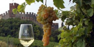 SOAVE (Vr): LA CASA DEL VINO SOAVE (Vr): LA CASA DEL VINO