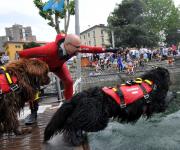 VERONA 2011: I CANI DA SOCCORSO INCONTRANO LE SCUOLE VERONA 2011: I CANI DA SOCCORSO INCONTRANO LE SCUOLE