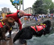 VERONA 2011: I CANI DA SOCCORSO INCONTRANO LE SCUOLE