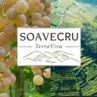 SOAVECRU-TERRA VIVA SOAVECRU-TERRA VIVA
