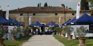 GAL COLLINE MORENICHE DEL GARDA