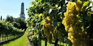 Una svolta per il CUSTOZA? Una svolta per il CUSTOZA?