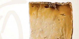 AROMA: Un viaggio sensoriale alla scoperta dei formaggi D.O.P. AROMA: Un viaggio sensoriale alla scoperta dei formaggi D.O.P.