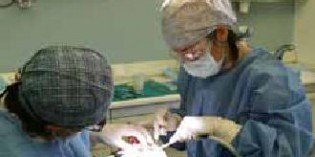 A Montichiari la nuova frontiera dell’odontoiatria: NEW DENTAL PHILOSOPHY A Montichiari la nuova frontiera dell’odontoiatria: NEW DENTAL PHILOSOPHY