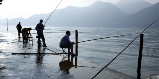 LA PESCA DELLA SARDA SUL GARDA in tarda primavera