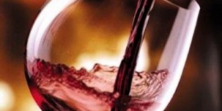 I VINI COLLI BERICI DOC AL SALONE DEL GUSTO I VINI COLLI BERICI DOC AL SALONE DEL GUSTO