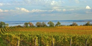 A NATALE ARRIVANO SUL GARDA I VINI DELLA TERRA SANTA