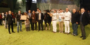 Montichiari (Bs): BILANCIO DELLA FIERA AGRICOLA E ZOOTECNICA Montichiari (Bs): BILANCIO DELLA FIERA AGRICOLA E ZOOTECNICA