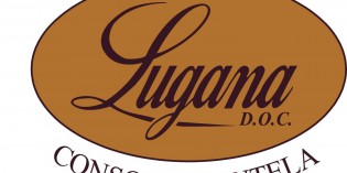 Vinitaly 2013: LE NOVITA’ DEL CONSORZIO TUTELA LUGANA DOC Vinitaly 2013: LE NOVITA’ DEL CONSORZIO TUTELA LUGANA DOC