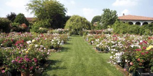 Rovato (Bs) – 25 e 26 maggio: GIARDINARIA Rovato (Bs) – 25 e 26 maggio: GIARDINARIA