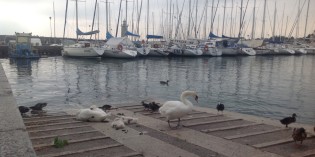 25 ANNI DI PROMOZIONE DEL LAGO DI GARDA A CURA DIPENDE