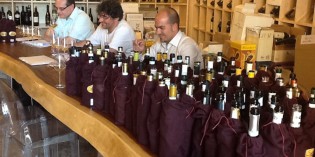 Consorzio Tutela Lugana: IMPEGNI E INIZIATIVE PER UNA VALORIZZAZIONE DEL VINO Consorzio Tutela Lugana: IMPEGNI E INIZIATIVE PER UNA VALORIZZAZIONE DEL VINO