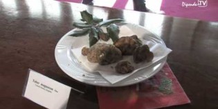PROFUMO DI TARTUFO,VIRGILIO VEZZOLA PROFUMO DI TARTUFO,VIRGILIO VEZZOLA