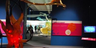 Milano: BRAIN – Il cervello, istruzioni per l’uso Milano: BRAIN – Il cervello, istruzioni per l’uso