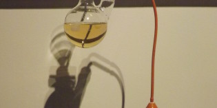 Milano: GOLA – ARTE E SCIENZA DEL GUSTO Milano: GOLA – ARTE E SCIENZA DEL GUSTO