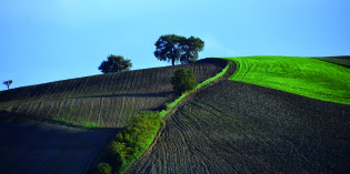 Monastero di Montebello  Isola del Piano (PU): BioEuropa 2014: dove le vie degli agricoltori s’incontrano