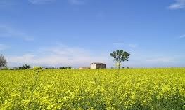 Agriturismi: all’aria aperta per il ritorno alla normalità