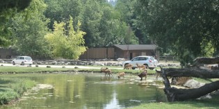 PARCO NATURA VIVA: SCRIGNO DI BIODIVERSITA’ IN UN TERRITORIO IN PERICOLO PARCO NATURA VIVA: SCRIGNO DI BIODIVERSITA’ IN UN TERRITORIO IN PERICOLO