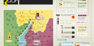 L’OLIO GARDA DOP IN CINQUE INFOGRAFICHE