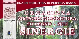 Val Sabbia: La Bottega di Scultura organizza “Sinergie”, simposio sulla scultura del legno