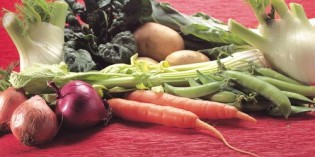 Cia Verona: “Ortofrutta, prezzi in caduta libera” Cia Verona: “Ortofrutta, prezzi in caduta libera”