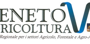 VENETO: VENDEMMIA 2015, SI SCALDANO I MOTORI…