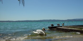 Lago di Garda: i livelli massimi e minimi