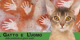 VERONA: DAL 1° AL 29 NOVEMBRE ALLA GRAN GUARDIA LA MOSTRA ‘IL GATTO E L’UOMO’ VERONA: DAL 1° AL 29 NOVEMBRE ALLA GRAN GUARDIA LA MOSTRA ‘IL GATTO E L’UOMO’