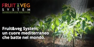 VERONAFIERE, NASCE FRUIT&VEG SYSTEM: ESSERE PUNTO DI RIFERIMENTO INNOVATIVO PER IL SISTEMA ORTOFRUTTICOLO MEDITERRANEO