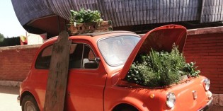 Roma: Festival del Verde e del Paesaggio il 13, 14 e 15 maggio 2016 Roma: Festival del Verde e del Paesaggio il 13, 14 e 15 maggio 2016