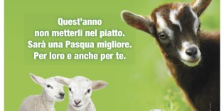 Fondo Amici di Paco lancia le campagne “Buona Pasqua… anche a loro” e “Lasciamoli vivere”