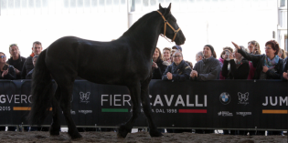 FIERACAVALLI 2016 CAMBIA DATA: 118ª EDIZIONE DAL 10 AL 13 NOVEMBRE