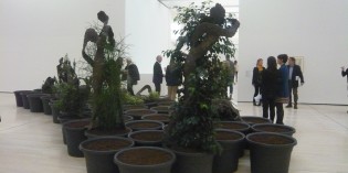 Rovereto (Trento) GIUSEPPE PENONE – SCULTURA Rovereto (Trento) GIUSEPPE PENONE – SCULTURA