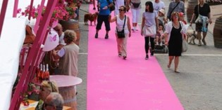 PALIO DEL CHIARETTO: UN’EDIZIONE OLTRE LE ASPETTATIVE PALIO DEL CHIARETTO: UN’EDIZIONE OLTRE LE ASPETTATIVE