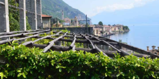 Nutrire il Lago di Garda e i suoi ospiti