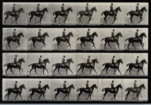 V0048752 A cantering horse and rider. Photogravure after Eadweard Muy
Credit: Wellcome Library, London. Wellcome Images
images@wellcome.ac.uk
http://wellcomeimages.org
A cantering horse and rider. Photogravure after Eadweard Muybridge, 1887.
1887 By: Eadweard Muybridge and University of Pennsylvania.Published: 1887

Copyrighted work available under Creative Commons Attribution only licence CC BY 4.0 http://creativecommons.org/licenses/by/4.0/