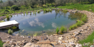 Salò: Vera Luciani presenta “Il biolago: una alternativa ecosostenibile ed ecocompatibile alla piscina tradizionale”