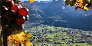 Sondrio, Valtellina Wine Trail 2k16, sempre più International Sondrio, Valtellina Wine Trail 2k16, sempre più International