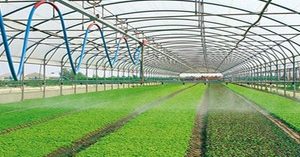 Florovivaismo: Defiscalizzare il verde privato per rilanciare il settore del florovivaismo e far emergere l’economia sommersa. Florovivaismo: Defiscalizzare il verde privato per rilanciare il settore del florovivaismo e far emergere l’economia sommersa.