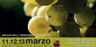 Piacenza – SORGENTEDELVINO LIVE 2017 Piacenza – SORGENTEDELVINO LIVE 2017