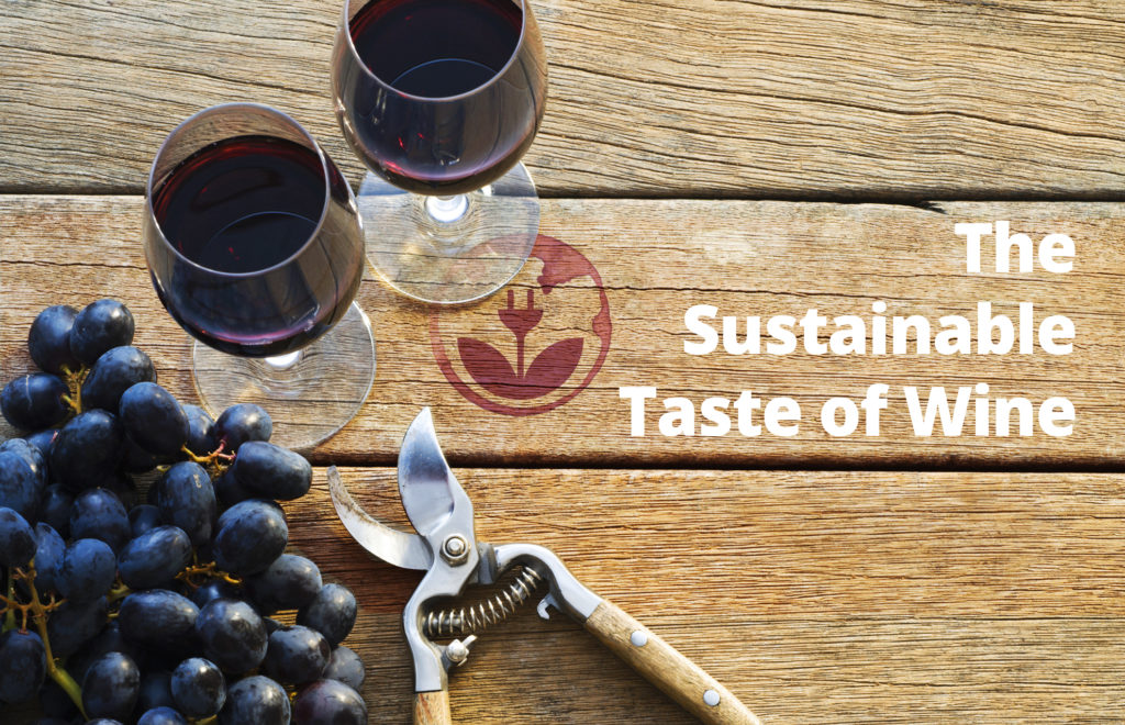Campagna-The-Sustainable-Taste-of-Wine