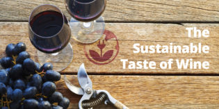 ForGreen: al via la campagna The Sustainable Taste of Wine ForGreen: al via la campagna The Sustainable Taste of Wine