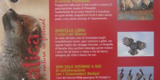 Biella – “SELVATICA” – Arte e Natura in Festival Biella – “SELVATICA” – Arte e Natura in Festival