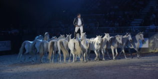 FIERACAVALLI 2017, CON LORENZO, IL CAVALIERE VOLANTE, IL GALA D’ORO È MAGNIFIQUE