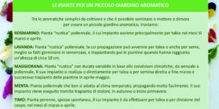 OFFICINA DELLE ERBE: LE PIANTE AROMATICHE E I LORO OLI ESSENZIALI